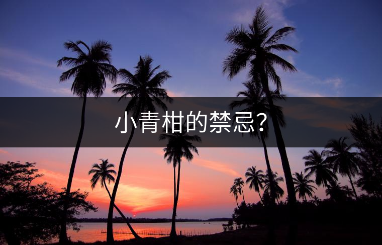 小青柑的禁忌？