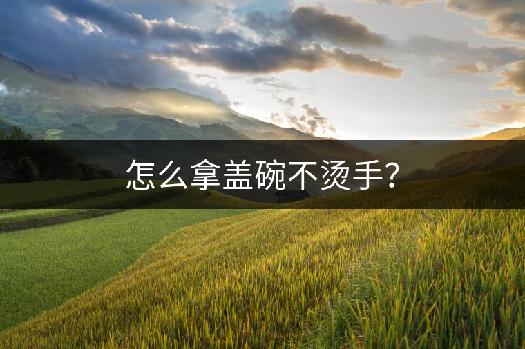 怎么拿蓋碗不燙手？