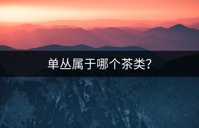 單叢屬于哪個(gè)茶類？