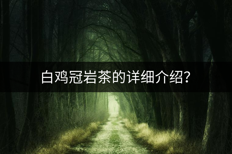 白雞冠巖茶的詳細(xì)介紹？