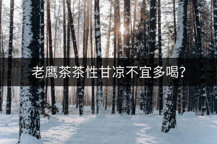 老鷹茶茶性甘涼不宜多喝？