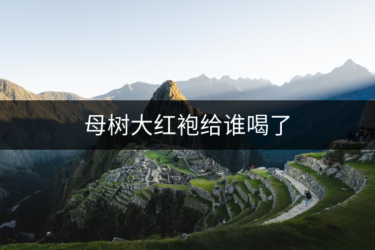 母樹大紅袍給誰(shuí)喝了