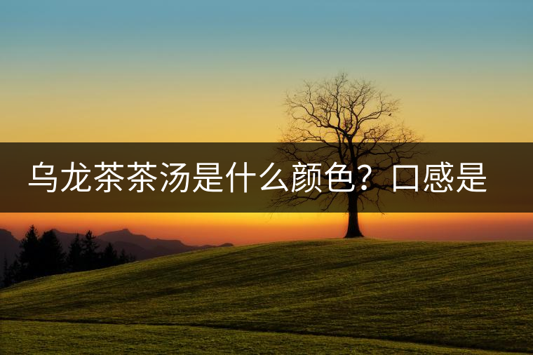 烏龍茶茶湯是什么顏色？口感是什么？