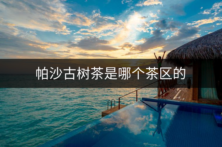 帕沙古樹茶是哪個茶區(qū)的 帕沙古樹茶是哪個茶區(qū)的