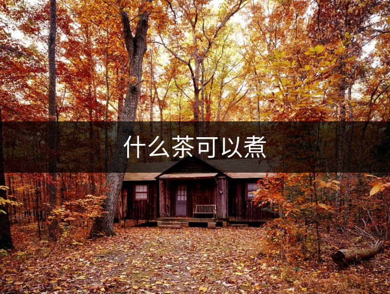 什么茶可以煮