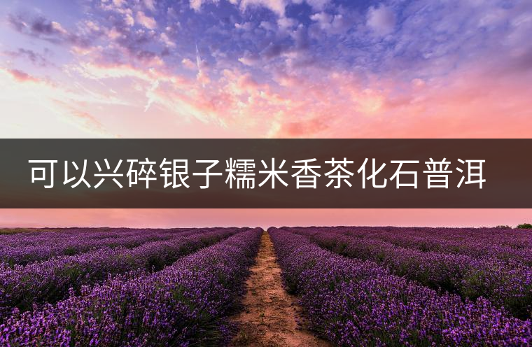 可以興碎銀子糯米香茶化石普洱茶熟茶特級(jí)易武古樹(shù)茶葉禮盒裝送禮