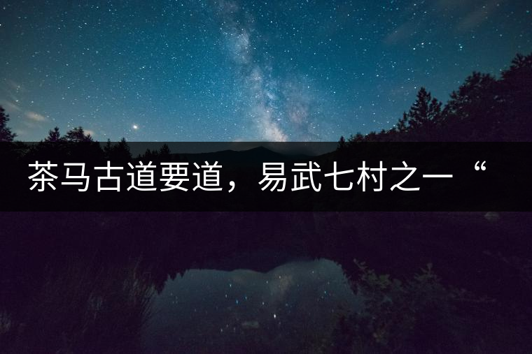 茶馬古道要道，易武七村之一“張家灣”古茶園