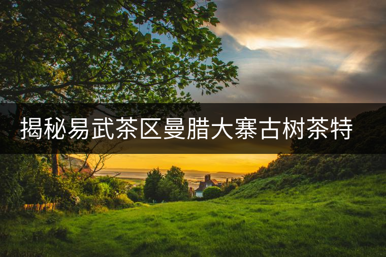 揭秘易武茶區(qū)曼臘大寨古樹(shù)茶特點(diǎn) 揭秘易武茶區(qū)曼臘大寨古樹(shù)茶特點(diǎn)