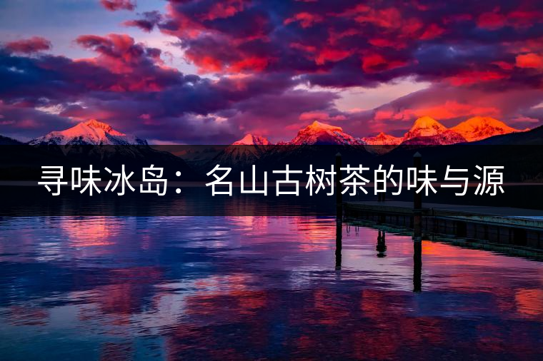 尋味冰島：名山古樹茶的味與源