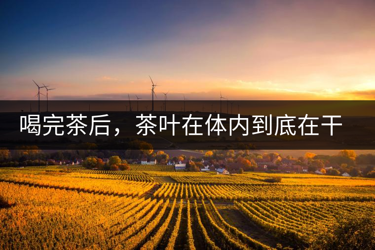 喝完茶后，茶葉在體內(nèi)到底在干嘛，游走的茶水