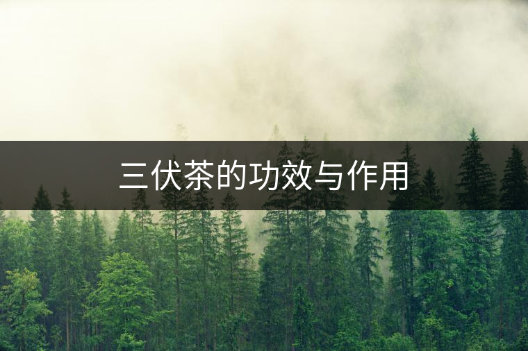 三伏茶的功效與作用 三伏茶的功效與作用