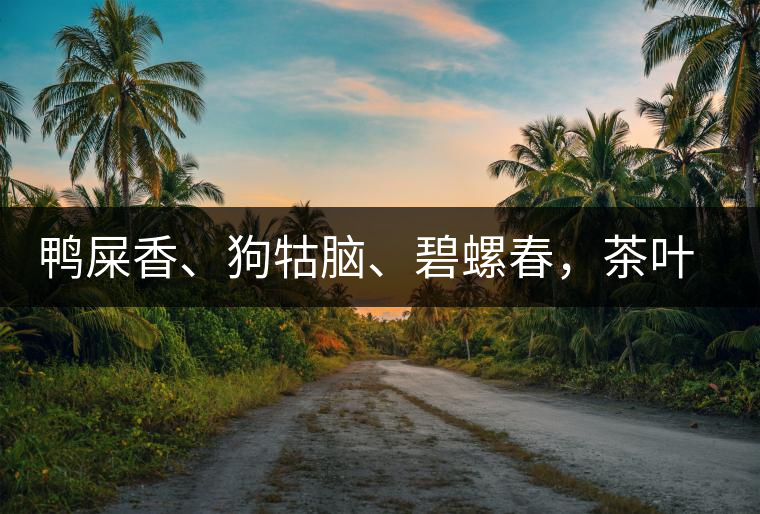 鴨屎香、狗牯腦、碧螺春，茶葉到底是如何被命名的