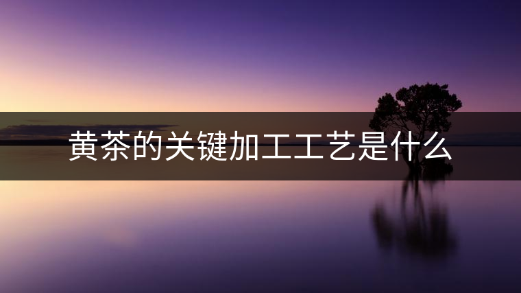 黃茶的關(guān)鍵加工工藝是什么 黃茶的關(guān)鍵加工工藝是什么