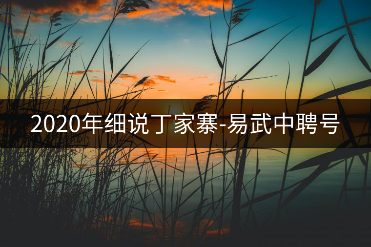 2020年細(xì)說丁家寨-易武中聘號 2020年細(xì)說丁家寨-易武中聘號
