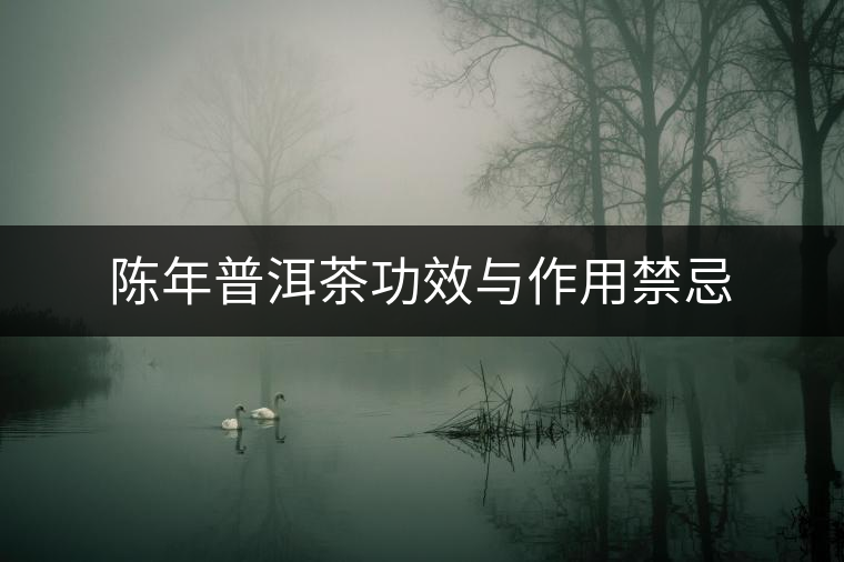 陳年普洱茶功效與作用禁忌