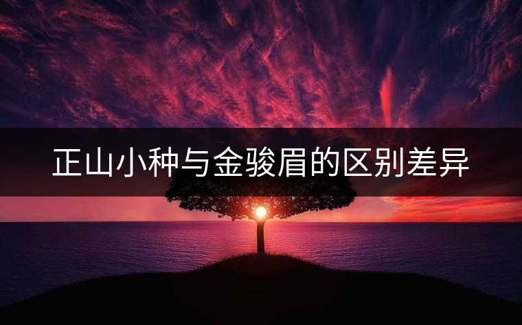 正山小種與金駿眉的區(qū)別差異
