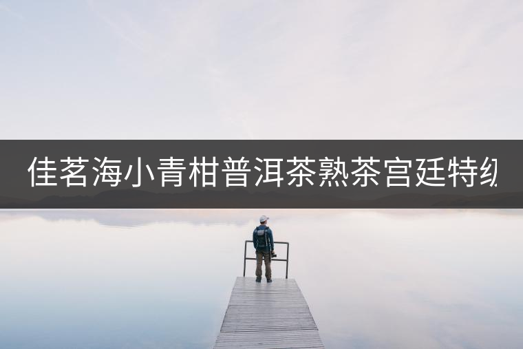 佳茗海小青柑普洱茶熟茶宮廷特級(jí)新會(huì)桔橘陳皮古樹(shù)普洱茶葉600g