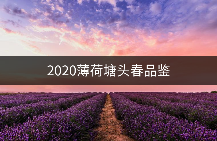 2020薄荷塘頭春品鑒