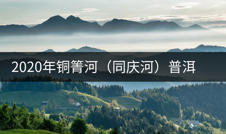 2020年銅箐河（同慶河）普洱茶，野味真難尋！-易武中聘號
