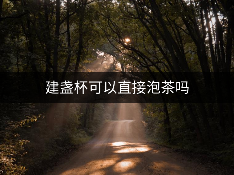 建盞杯可以直接泡茶嗎 建盞杯可以直接泡茶嗎