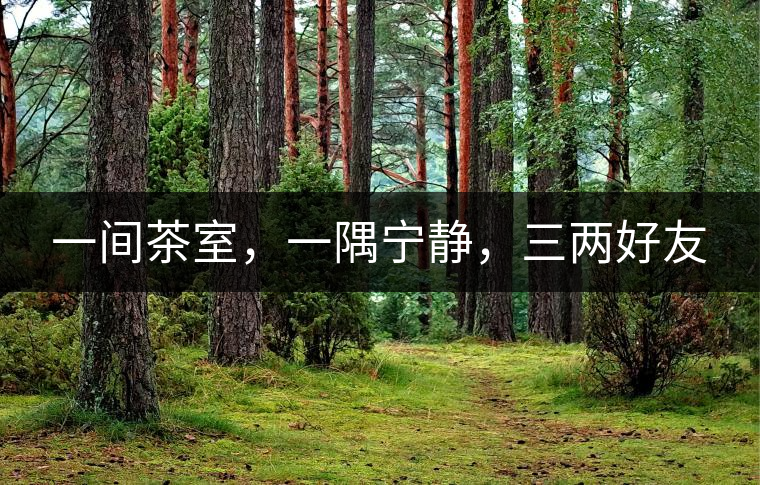 一間茶室，一隅寧?kù)o，三兩好友