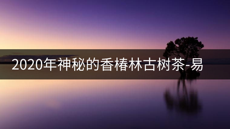 2020年神秘的香椿林古樹(shù)茶-易武中聘號(hào) 2020年神秘的香椿林古樹(shù)茶-易武中聘號(hào)