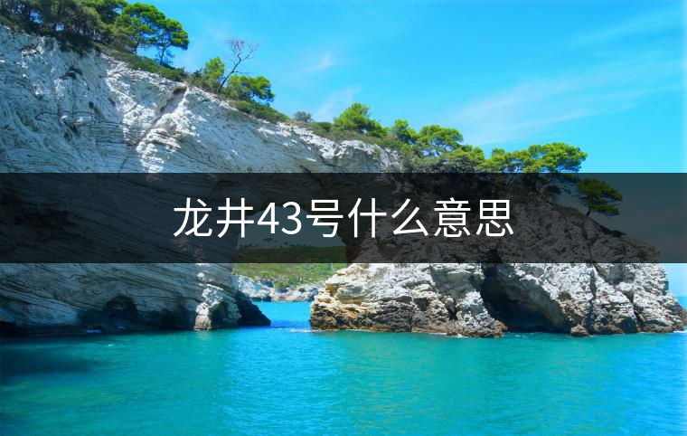 龍井43號什么意思