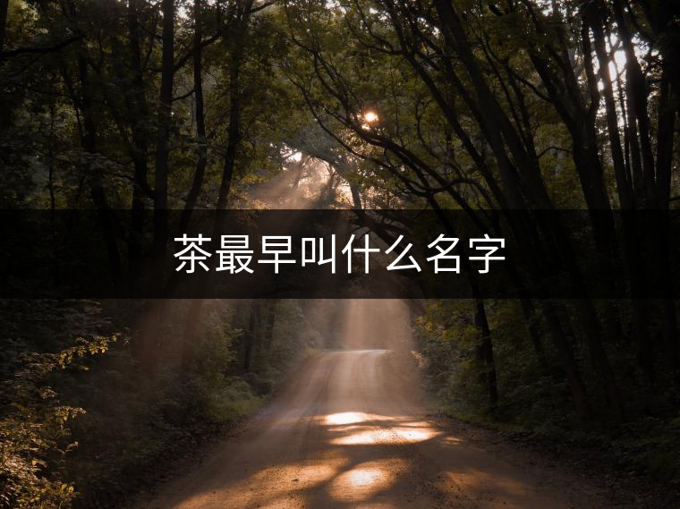 茶最早叫什么名字