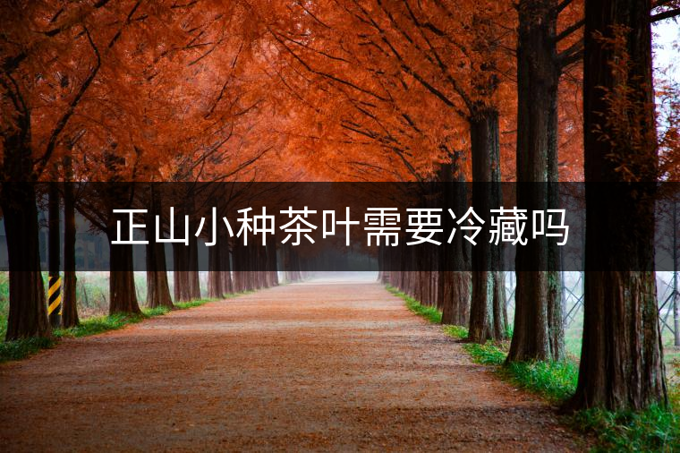 正山小種茶葉需要冷藏嗎 正山小種茶葉需要冷藏嗎