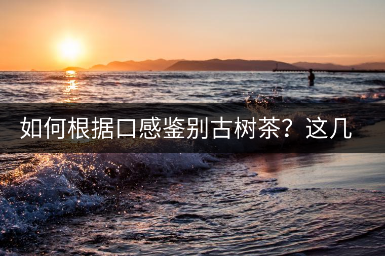 如何根據(jù)口感鑒別古樹茶？這幾個技巧值得收藏