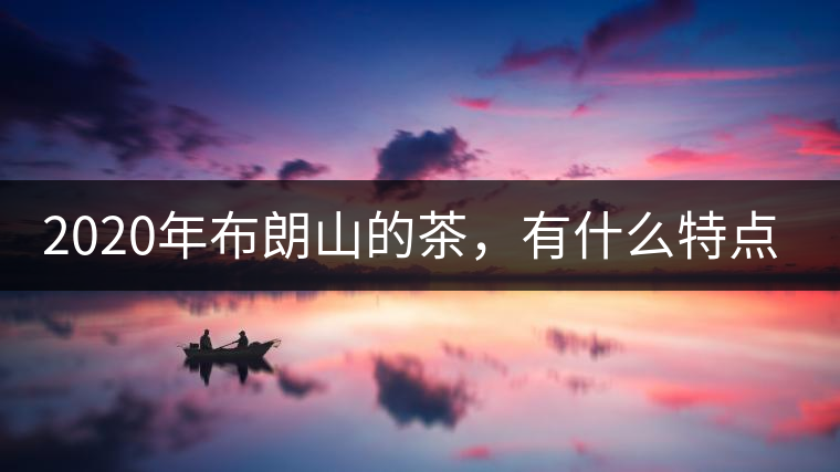 2020年布朗山的茶，有什么特點(diǎn)？-易武中聘號(hào)