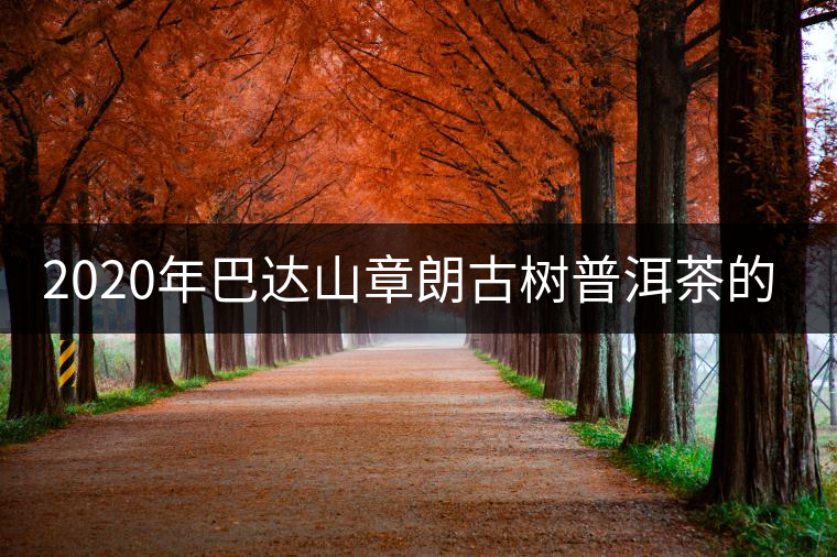 2020年巴達山章朗古樹普洱茶的特點?-易武中聘號 2020年巴達山章朗古樹普洱茶的特點?-易武中聘號