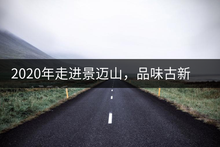 2020年走進(jìn)景邁山，品味古新六大茶山古樹茶之韻-易武中聘號(hào)