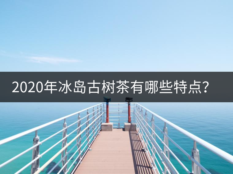 2020年冰島古樹茶有哪些特點(diǎn)？-易武中聘號(hào)