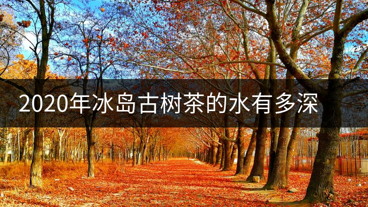 2020年冰島古樹茶的水有多深？別被蒙在鼓里啦-易武中聘號