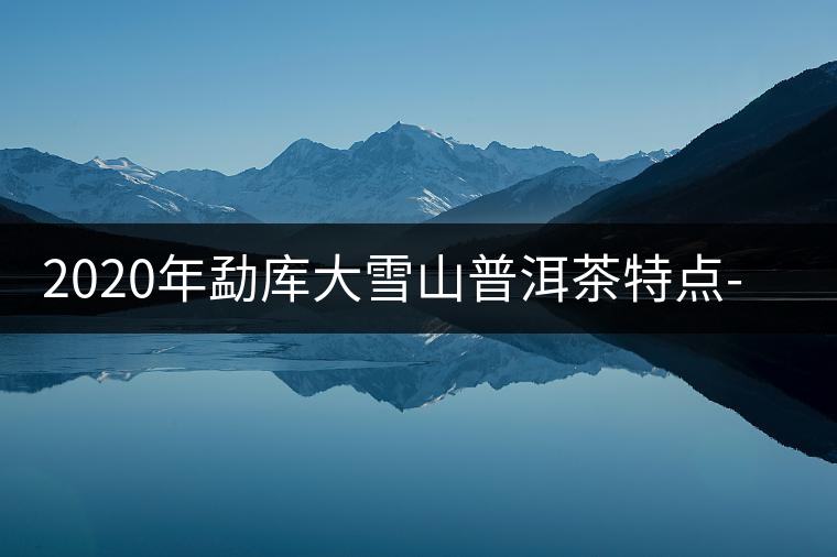 2020年勐庫大雪山普洱茶特點(diǎn)-易武中聘號(hào) 2020年勐庫大雪山普洱茶特點(diǎn)-易武中聘號(hào)