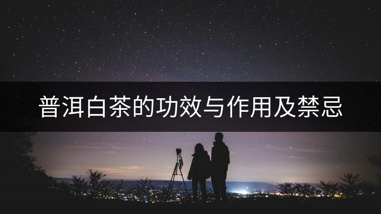 普洱白茶的功效與作用及禁忌 普洱白茶的功效與作用及禁忌