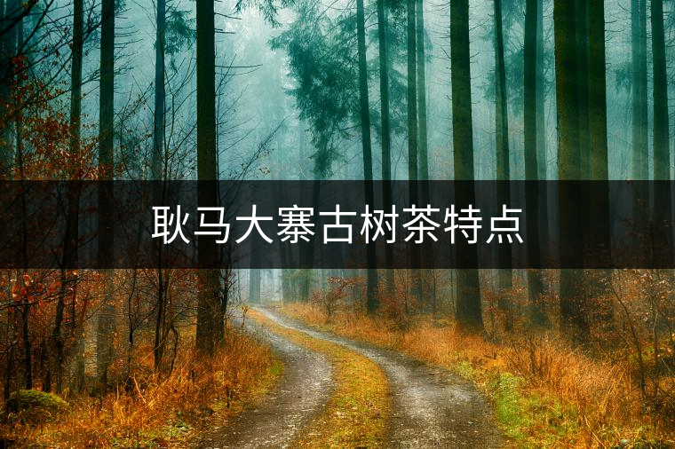 耿馬大寨古樹茶特點 耿馬大寨古樹茶特點
