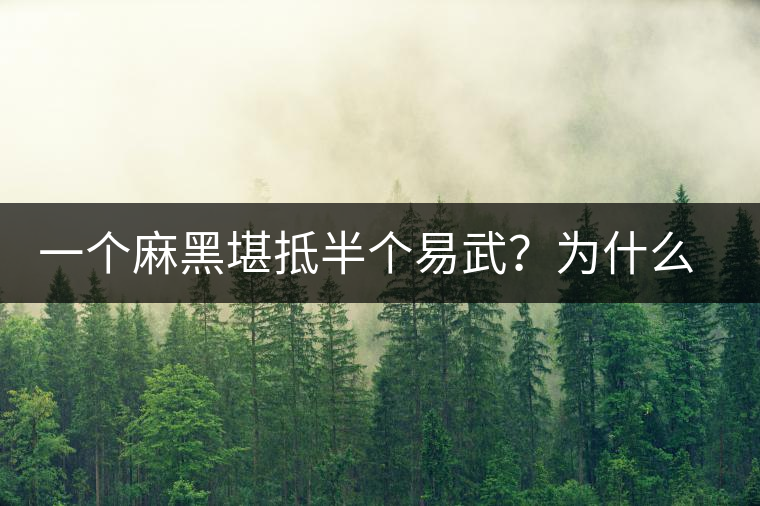 一個麻黑堪抵半個易武？為什么這么好喝？