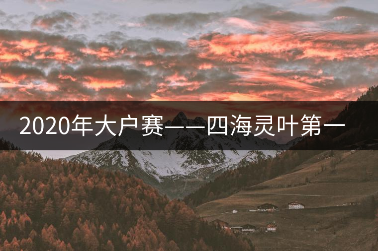 2020年大戶賽——四海靈葉第一村-易武中聘號