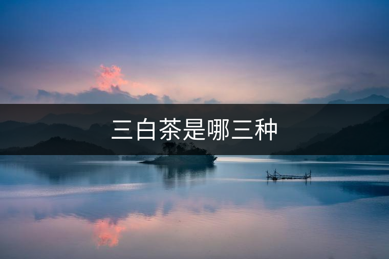 三白茶是哪三種 三白茶是哪三種