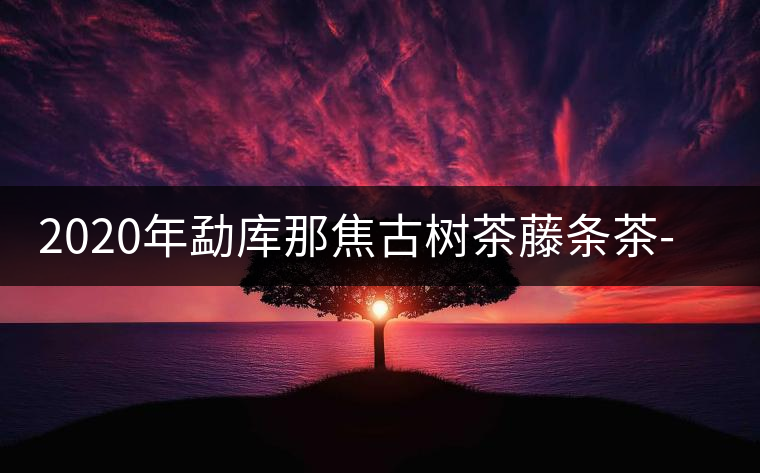 2020年勐庫(kù)那焦古樹(shù)茶藤條茶-易武中聘號(hào) 2020年勐庫(kù)那焦古樹(shù)茶藤條茶-易武中聘號(hào)