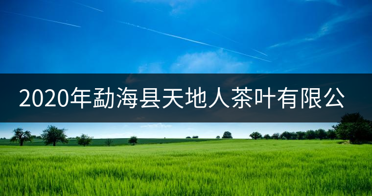 2020年勐??h天地人茶葉有限公司簡(jiǎn)介 2020年勐海縣天地人茶葉有限公司簡(jiǎn)介
