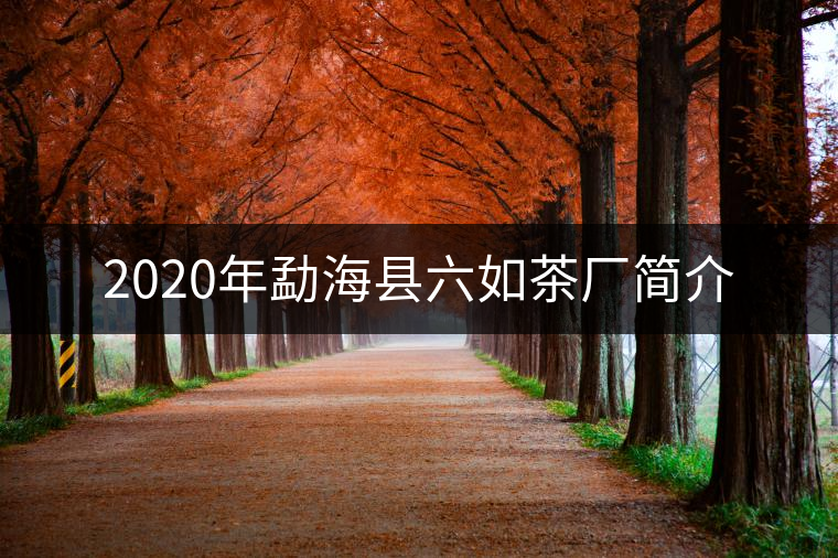 2020年勐海縣六如茶廠簡介