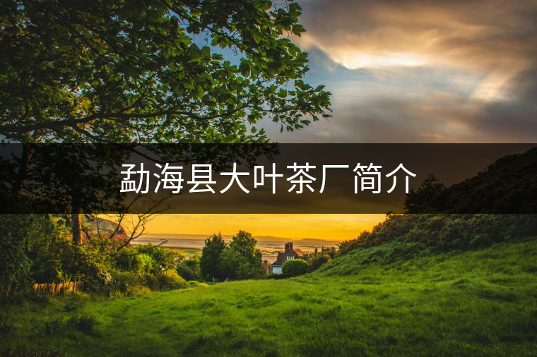 勐?？h大葉茶廠簡(jiǎn)介