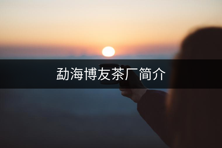 勐海博友茶廠簡(jiǎn)介