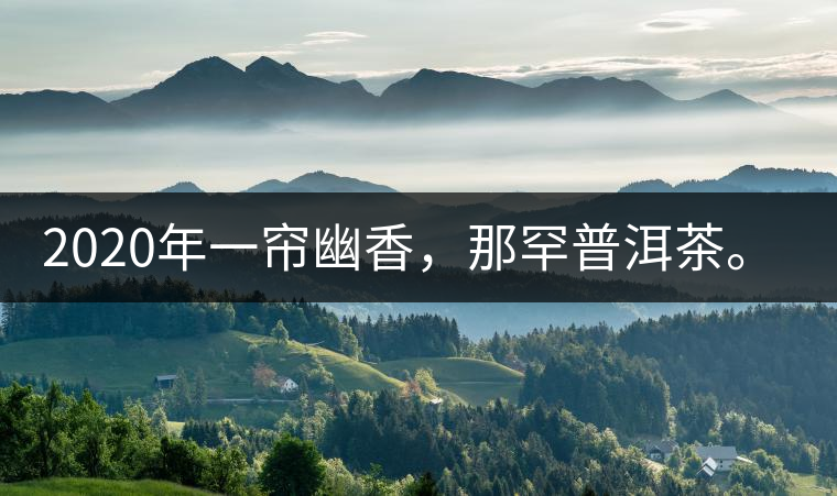 2020年一簾幽香，那罕普洱茶。-易武中聘號
