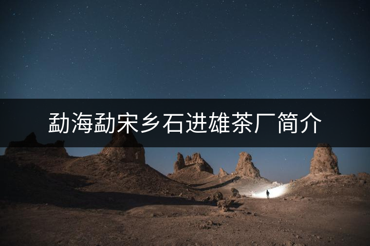 勐海勐宋鄉(xiāng)石進雄茶廠簡介 勐海勐宋鄉(xiāng)石進雄茶廠簡介