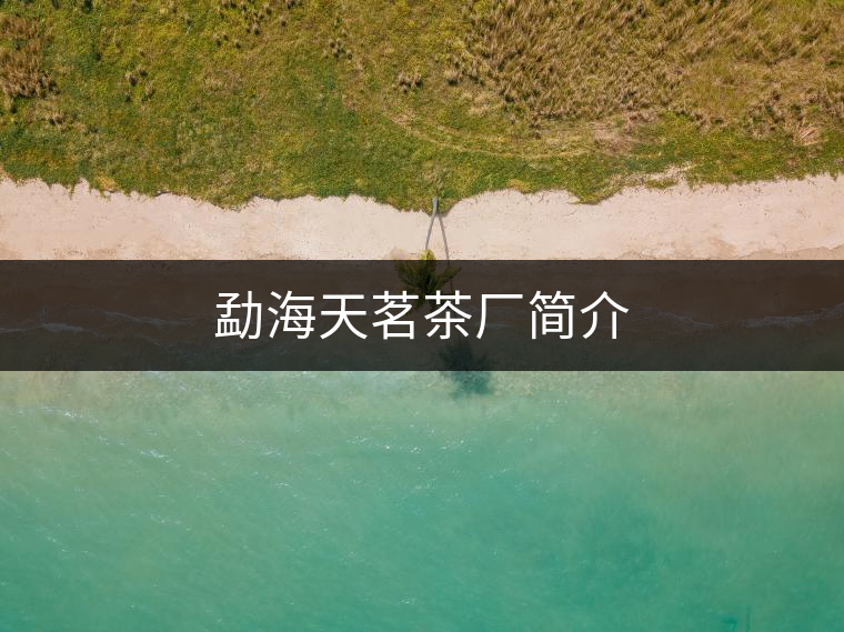 勐海天茗茶廠簡(jiǎn)介