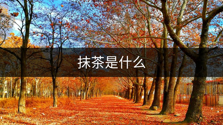 抹茶是什么 抹茶是什么